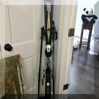 L15. Elan skiis and poles. - $30